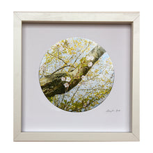 Load image into Gallery viewer, Cherry Blossoms and Trunk