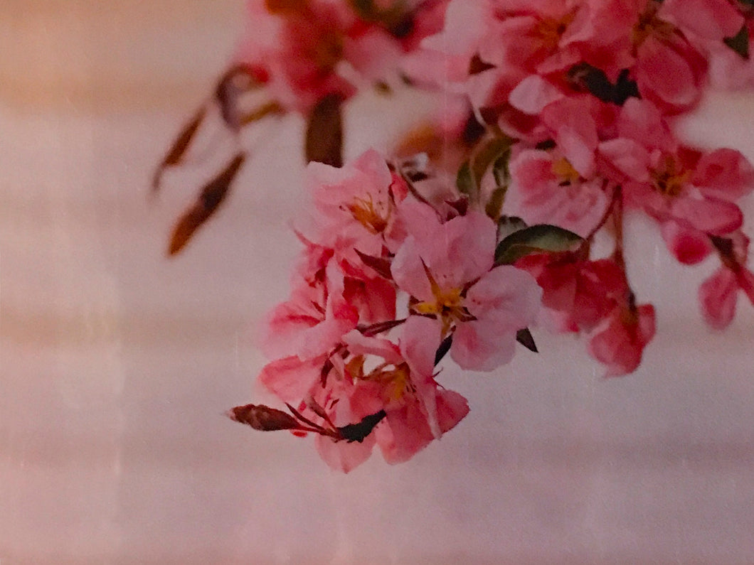 Charismatic Crabapple