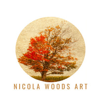Nicola Woods Art