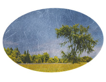 Load image into Gallery viewer, Sheltering Elm Tree
