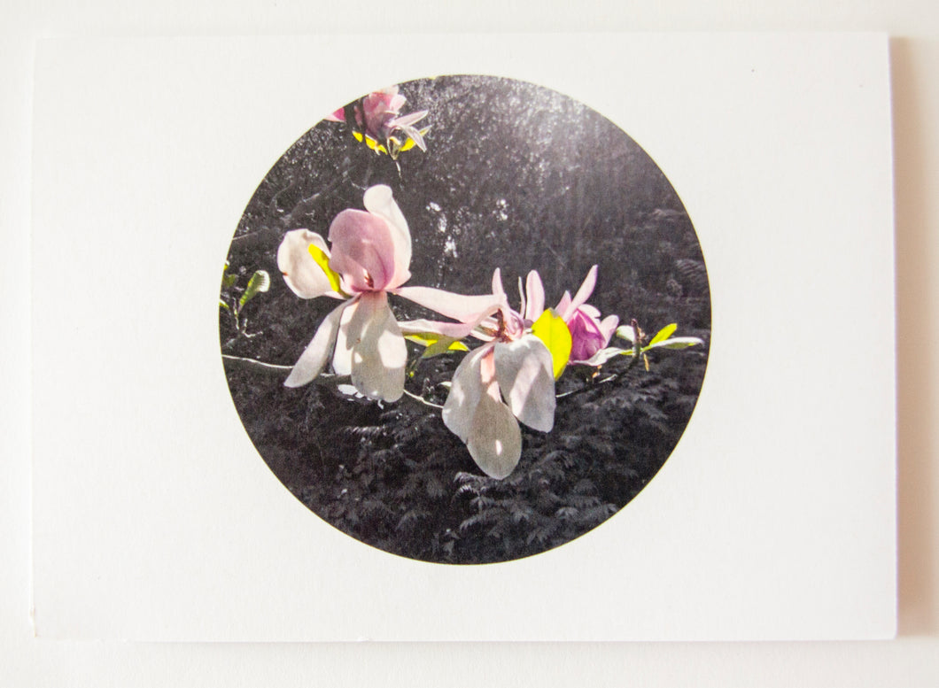 Greeting Card - Magnolia Blossom