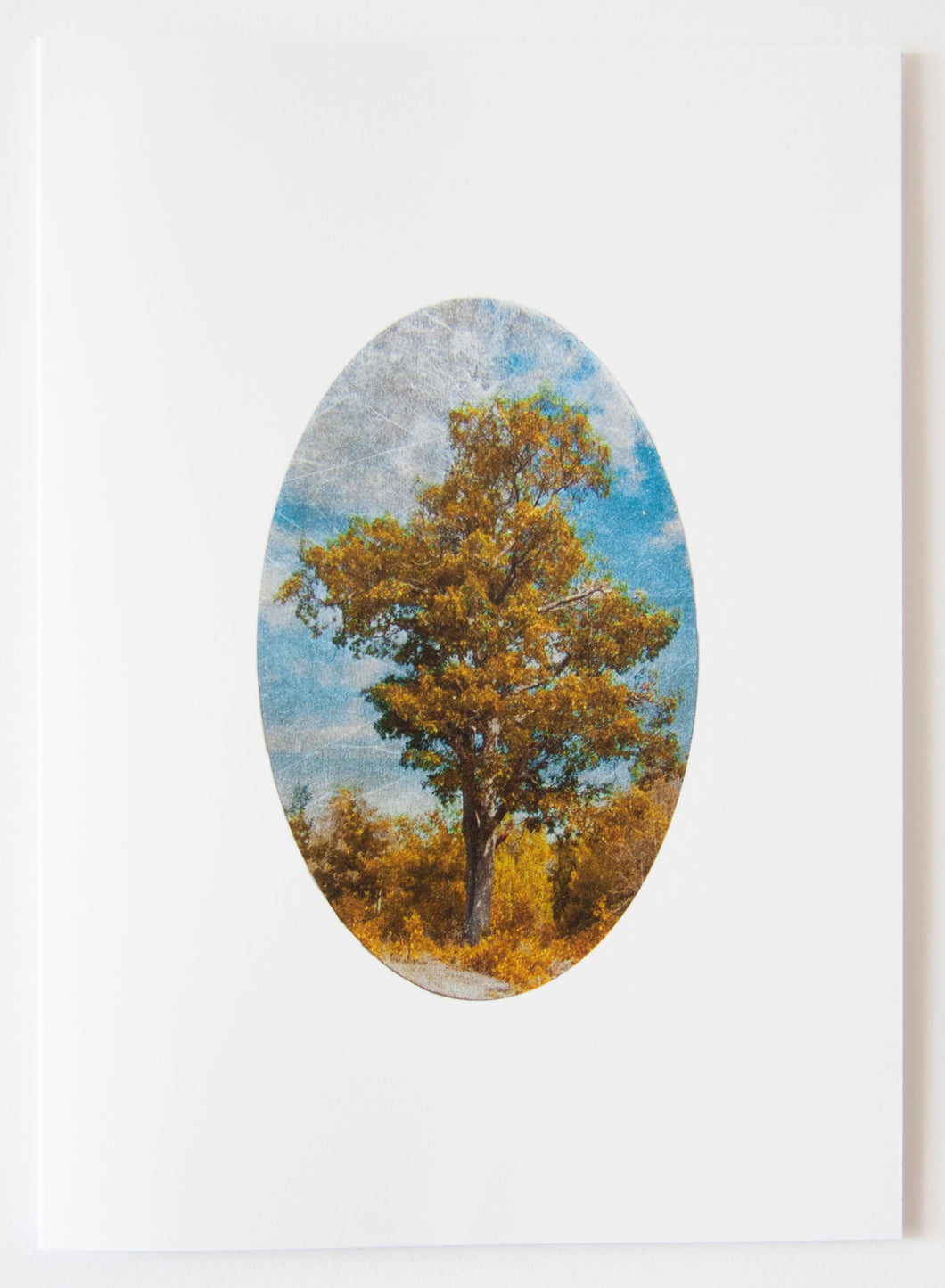 Greeting Card - Mother Oak Tree