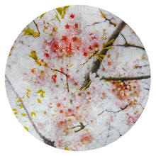 Load image into Gallery viewer, Diaphanous Delight
