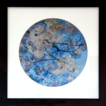 Load image into Gallery viewer, Sakura Splendour

