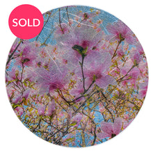 Load image into Gallery viewer, Petals for Pierre Magnol, 2019
