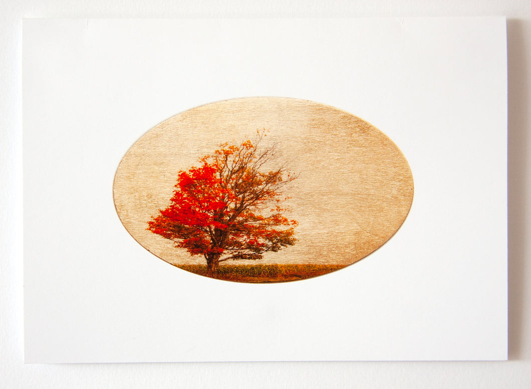 Greeting Card - Record Keeper Maple Tree