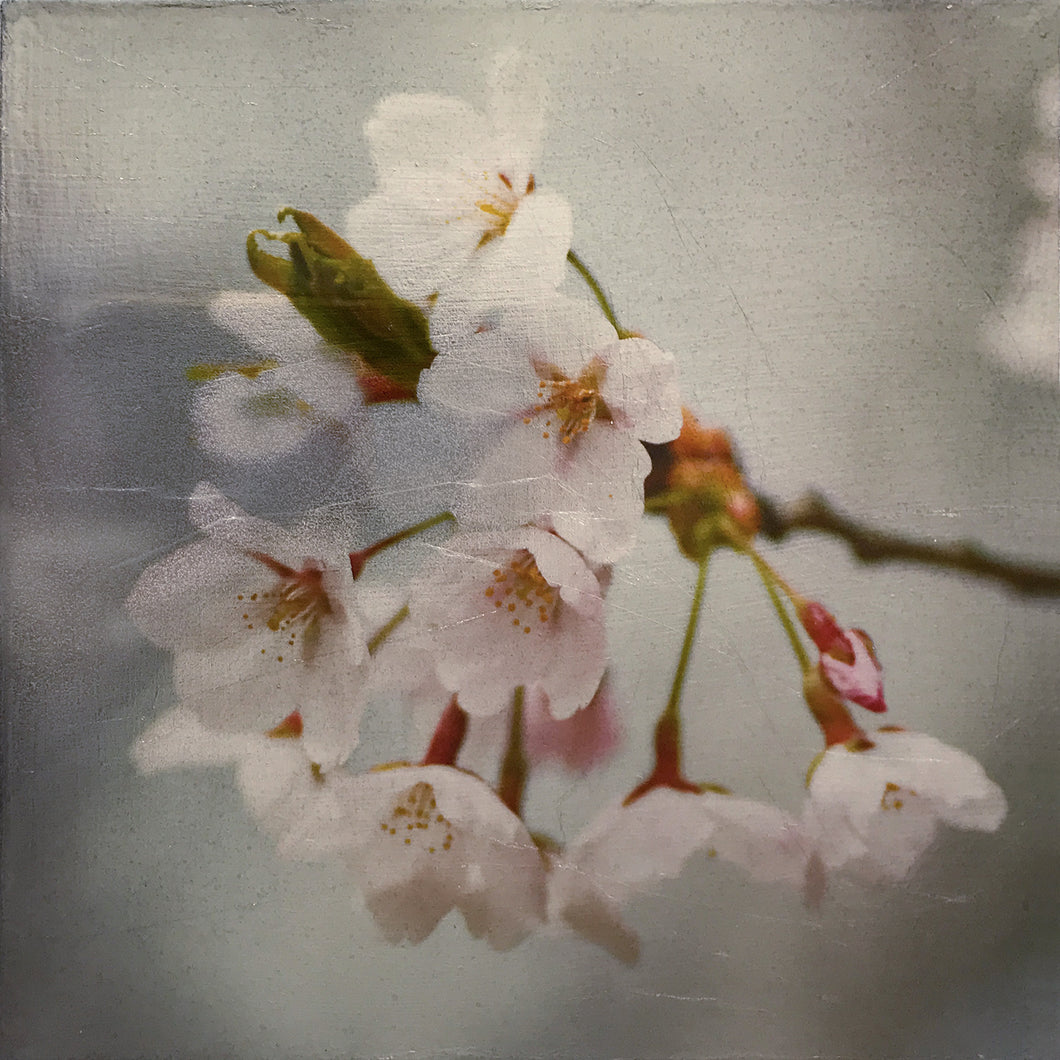 Spring Treasure